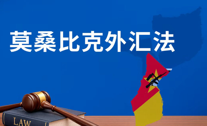 专题:莫桑比克外汇法